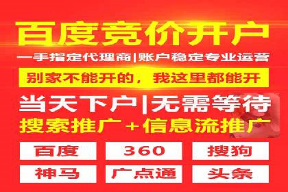 百度推广费用投入与品牌知名度提升的案例分析
